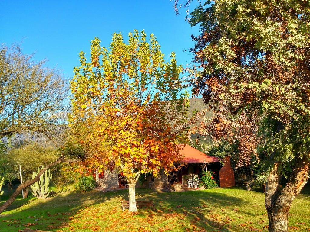 Cabanas Altos Del Velazco Λα Ριόχα Εξωτερικό φωτογραφία